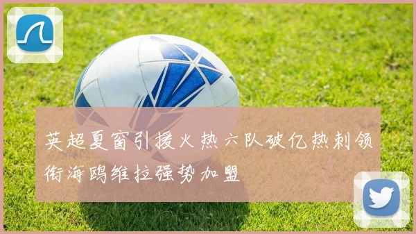 英超夏窗引援火热六队破亿热刺领衔海鸥维拉强势加盟